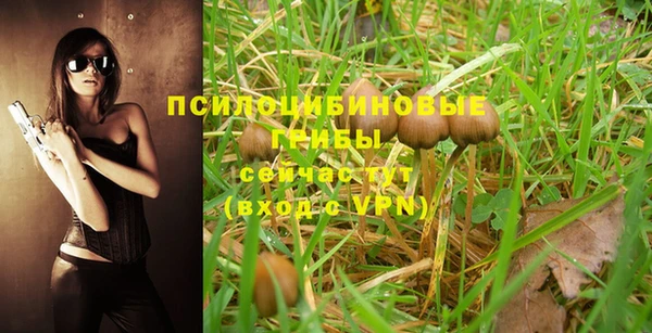 мдпв Куйбышев