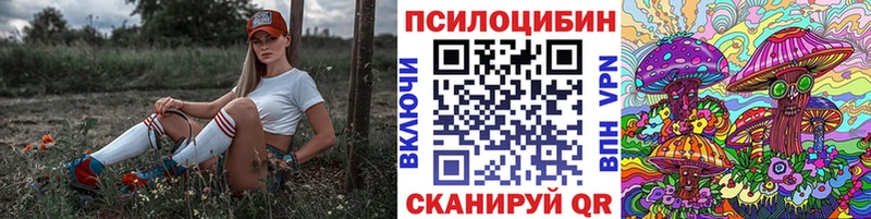 Псилоцибиновые грибы Magic Shrooms  Новочебоксарск 